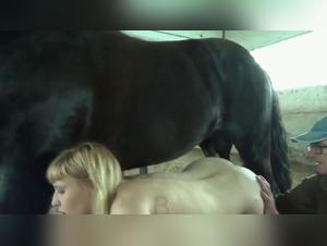 Bestiality Dog: Milf & Pferd - Erotische Videos