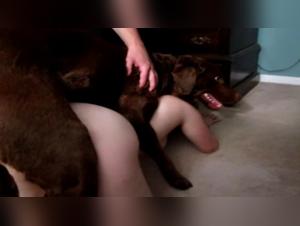 Bestial Encounter: Woman and Dog