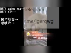 Asian woman subjected to dog love