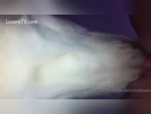 Shocking bestiality: a woman and her dog