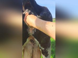 naughty vacation memories