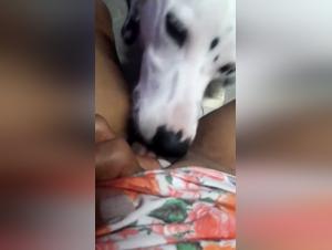 My Wife's Shocking Intimacy with Man's Best Friend