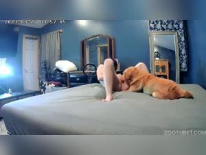 sensual lick experience