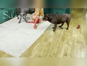 vérônica silesto hund beischlaf blutig