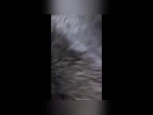 Prostituta Argentina Folld por Perro 2 - Videos XXX
