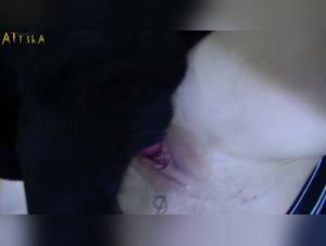 Bestial love story: Woman and her dog