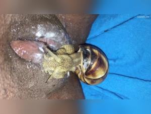 Snail and woman: a unique zoophilia video