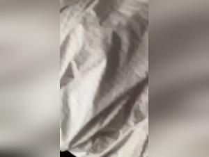 Dog fucks big ass