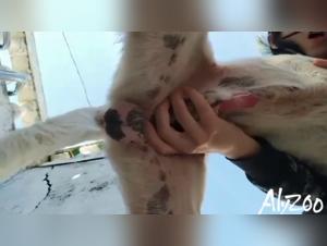 girl animalpornrocks videos porno zoofilia