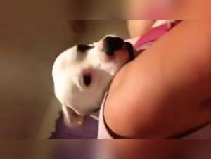 Mature woman and dog: a shocking bestiality video