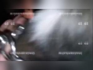 Vidéos de Sexe avec Chien - Honey and Star 3