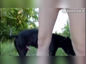 Sale pute & son chien: Baises sauvages en parc