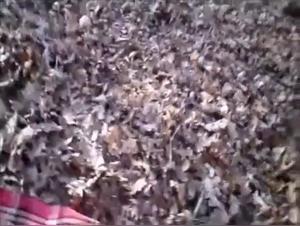 Bestiality: Woman and dog in shocking scene