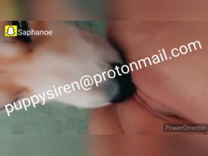 Homemade bestiality video with an amateur woman and her dog