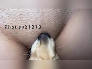 Bestiality sex video with a naughty dog