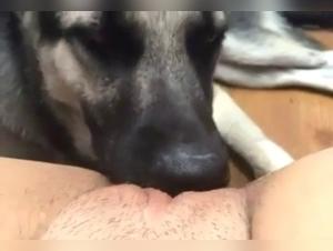 Unexpected encounter: woman and dog