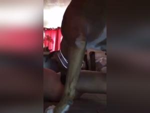 Salope baisée par chien - Extreme Lick