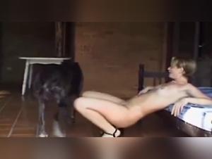 forbidden love story dog fuck