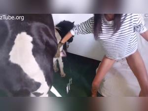 Bestiality videos with horses