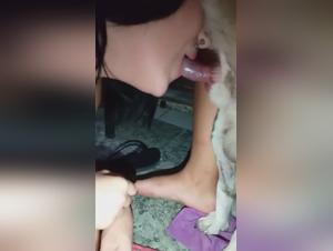 Forbidden Meeting: Woman and Dog