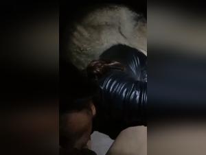 Bestiality: a woman and her dog