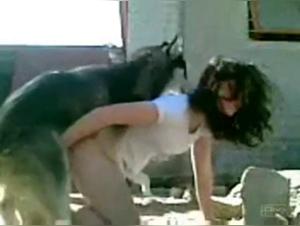 A bestial relationship between a woman and her dog