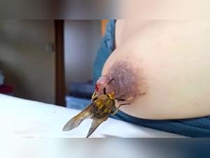 Bestial encounter with a horse and a woman