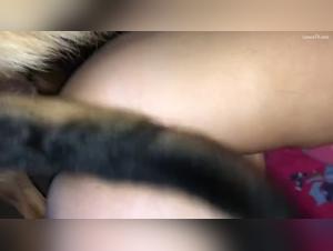 norvégienne sauvage baise chien
