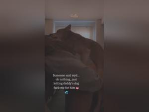 Sex video with a dog: an extreme experience