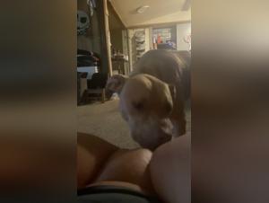 Oltre i Limiti: Sessualita con Animali