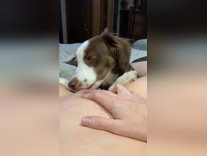 Forbidden Cartoons Unveiled