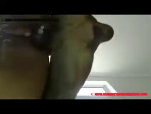 Forbidden Meeting: Woman and Dog