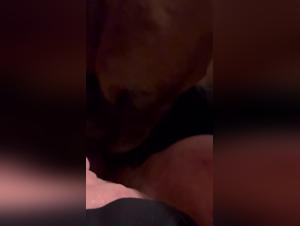 Bestiality sex video with horny dog