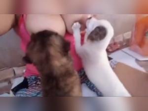 Chiquita Lactancia con Perro | Parte 1