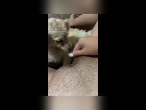 Frau Hund Sex 43