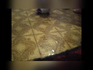 Katya and her beastly experience with a dog