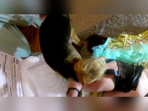 Forbidden Encounter - Woman and Dog