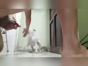 Breaking Zoological Taboos