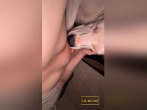 Salope léchage chien vidéo XXX