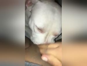 Intimate Moments with my Four-Legged Best Friend