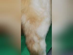 New internal source: ArtofZoo - You Guo Nei Xin Zi Yuan