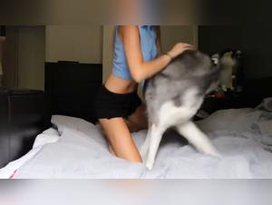 Hot foreplay with a dog