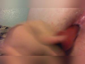 Unforgettable Canine Connection