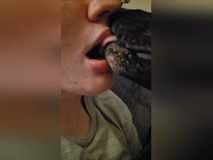 Unveiling Zooskool Dynamics