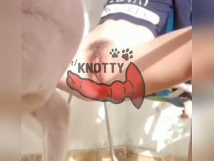 The Canine Sex Disease: How It Affects Relationships