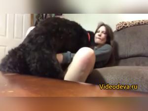 Amateur bestiality video: a woman and her dog