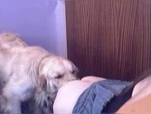 Forbidden Love: Man's Best Friend in a Whole New Light