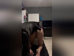 love canine extreme
