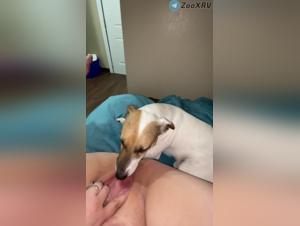 Milly Dog Fuck 1 Extreme