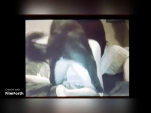 Sex Scene with a Dog - Amateur Video